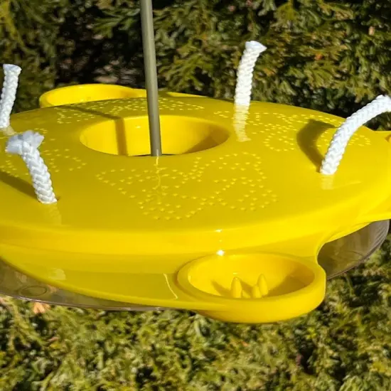 Butterfly Feeder {3}