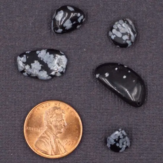 Snowflake Obsidian Crystal Chips &ndash; Size XS {2}
