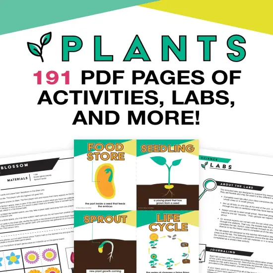 Carson Dellosa In A Flash Plants Science Instructional Resources&mdash;Flash Drive With Lessons, Labs, Observation Journal, Templates, Songs, Posters, STEM Challenge, Plant E-Books, Grades K-2 (191 pgs) {1}