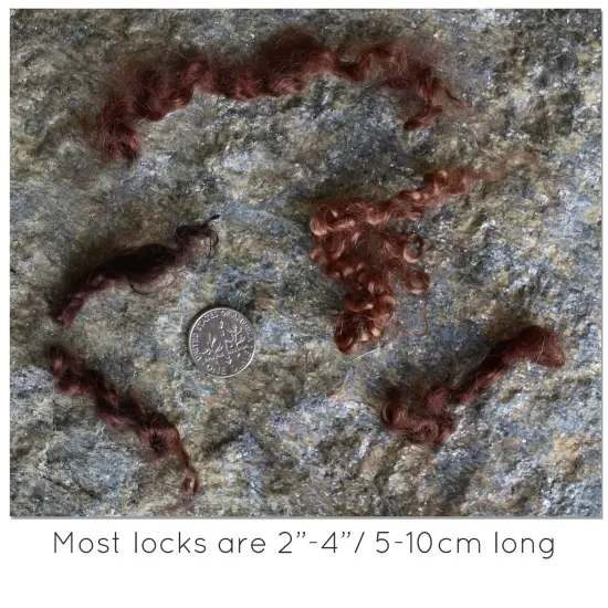 BROWN MOHAIR LOCKS. Organic Hand-Dyed Curly Wool for Rooting Doll Hair, Felting, Blending, Spinning. 1oz {3}