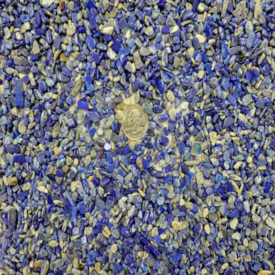 Tumbled Lapis Lazuli Crystal Chips Bulk {4}