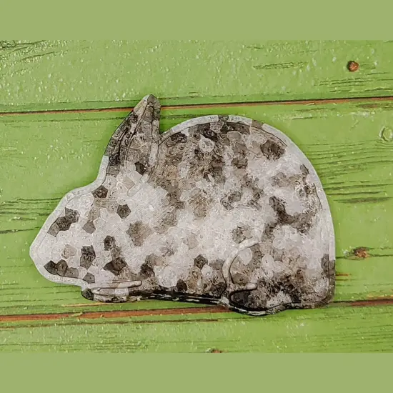 show rabbit - compact type - silicone freshie mold {3}