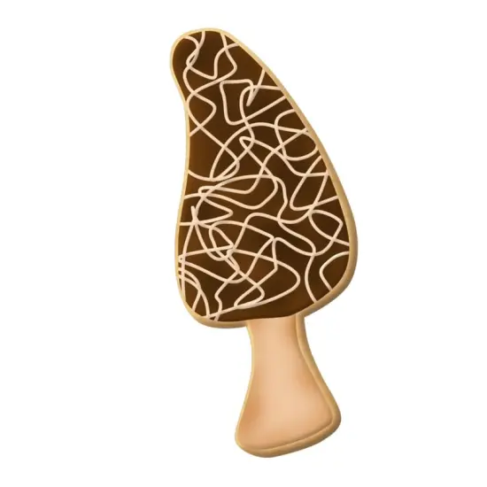 CookieCutter.Com Brand Morel Mushroom Cookie Cutter 4 in B0994, Tin Plate Steel, Handmade in USA {2}