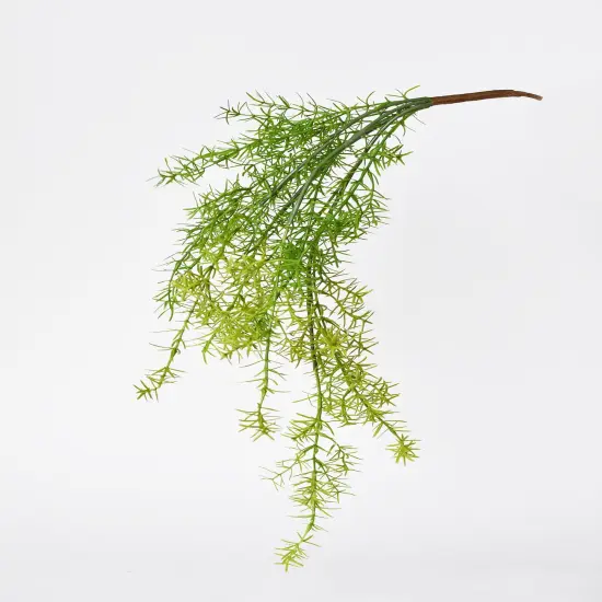 26" Faux Soft Asparagus Fern Sprengeri Bush {2}