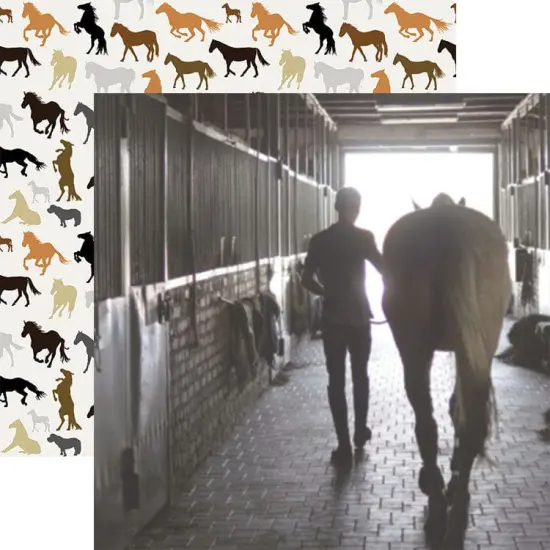 Horse 12 x 12 Scrapbook Paper Set {4}