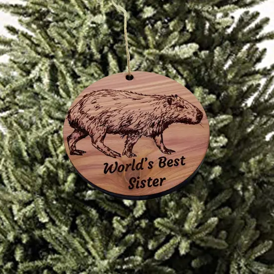 Worlds Best sister Capybara - Cedar Ornament {1}