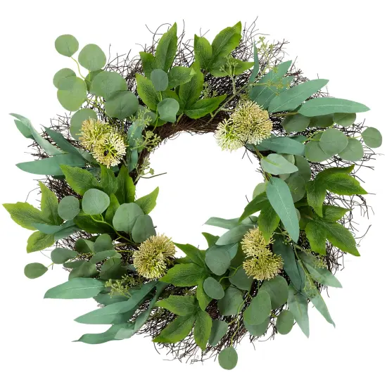 Northlight Eucalyptus and Olive Leaf Twig Spring Wreath, 24-Inch Green {1}