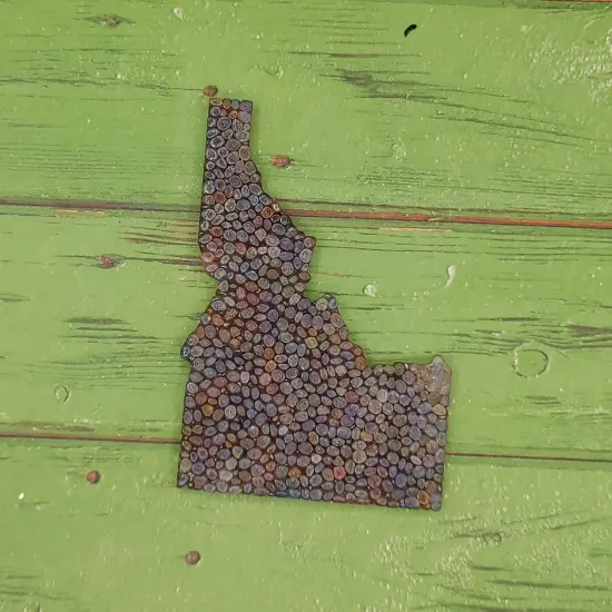 Idaho - Flat Front - Silicone Freshie Mold {2}