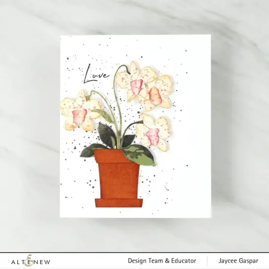 Craft-A-Flower: Dendrobium Orchid Layering Die Set {6}