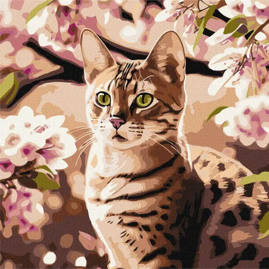 Painting by Numbers kit Kitten in the garden KHO6513 {2}