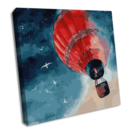 Painting by Numbers kit An air miracle KHO9548 {1}