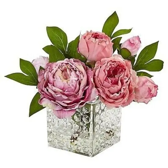 Peony in Glass Vase Pink {1}