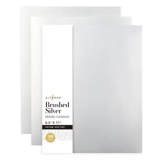 Brushed Silver Metallic Cardstock (10 sheets/set) {1}