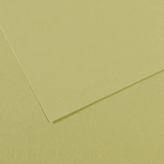Canson Mi-Teintes Drawing Papers - 8-1/2" x 11", Light Green, 25 Sheets {1}
