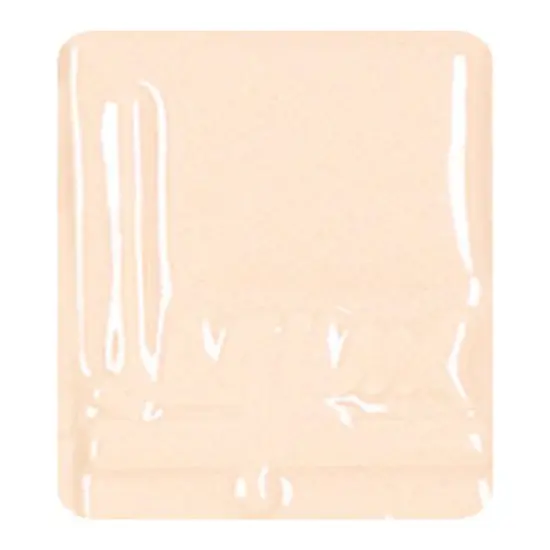 Laguna Lead-Free Gloss Glaze - Opaque, Nude, Pint {1}
