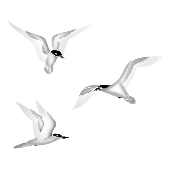 Sea Gulls Wall Stencil | 2611 by Designer Stencils | Reusable Art Craft Stencils for Painting on Walls, Canvas, Wood | {1}