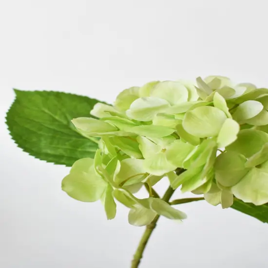 10" Faux Green Hydrangea Stem {1}