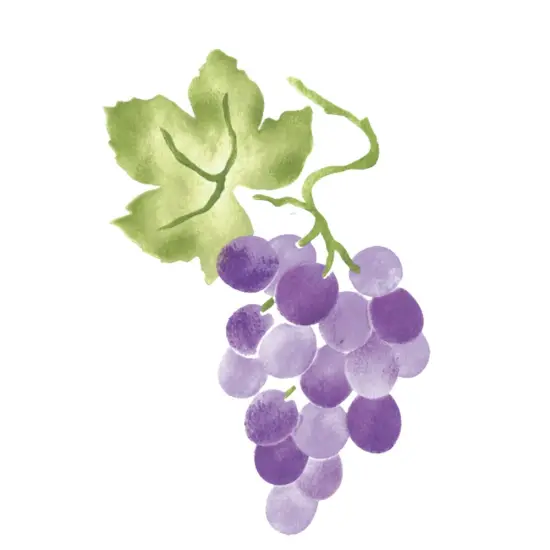 Clump of Grapes Wall Stencil | 2956 by Designer Stencils | {1}