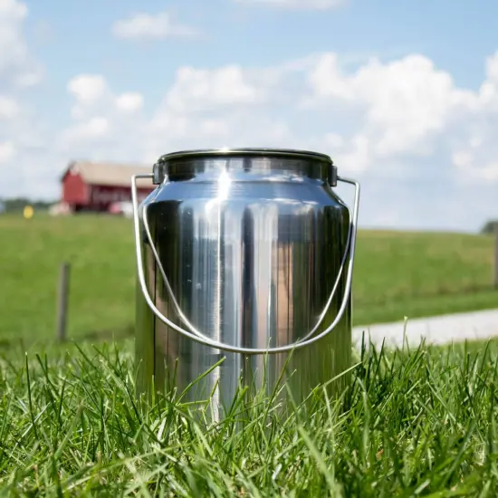 Functional and Decorative Stainless Steel Milk Can 11" H 2.6 Gallon {4}