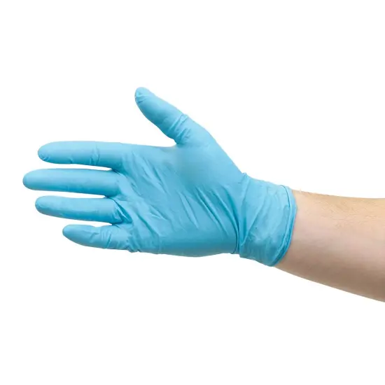 Glove Pack - Large, Nitrile, Powder-Free, Pkg of 100 {2}