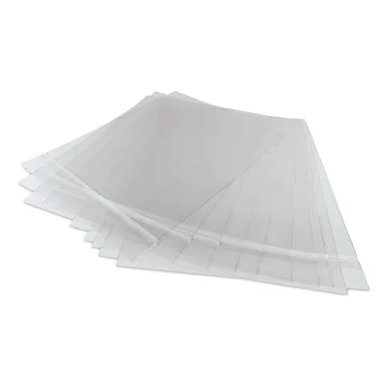 Blick Archival Bag Pack - 16" x 20", Pkg of 10 {1}