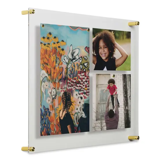 Wexel Art Single Panel Acrylic Display Frame - 19" x 23", Gold Hardware {1}