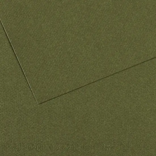Canson Mi-Teintes Drawing Papers - 8-1/2" x 11", Ivy, 25 Sheets {1}