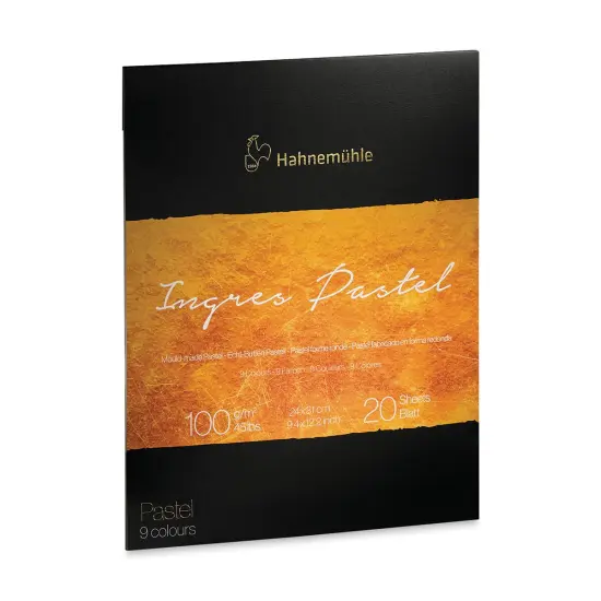 Hahnemuhle Ingres Pad - 9.4" x 12.2", Assorted, 20 Sheets {2}