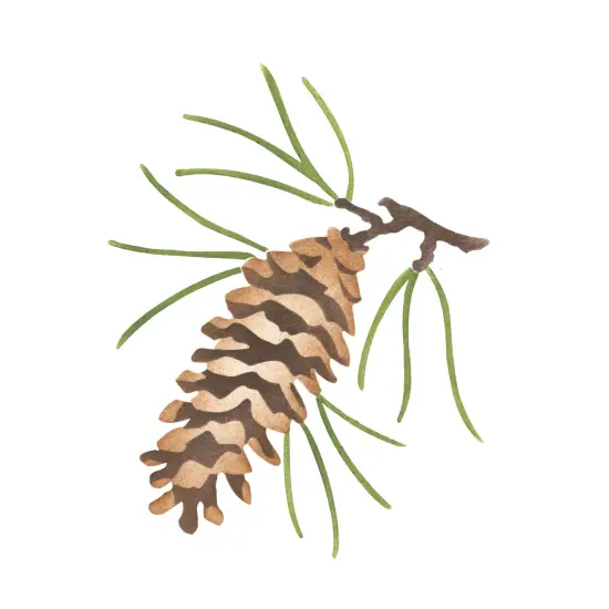 Single Pinecone Wall Stencil | 3181 by Designer Stencils | Animal & Nature Stencils | Reusable Art Craft Stencils for Painting on Walls, Canvas, Wood | Reusable Plastic Paint Stencil for Home Makeover | Easy to Use & Clean Art Stencil {1}