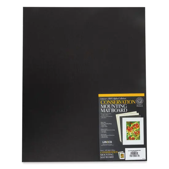 Lineco Conservation Matboard - Black, 4 ply, Pkg of 25, 16" x 20" {1}