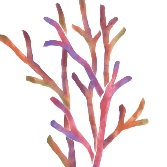 Sea Coral Wall Stencil | 2875 by Designer Stencils | Outdoor Stencils | Reusable Art Craft Stencils for Painting on Walls, Canvas, Wood | Reusable Plastic Paint Stencil for Home Makeover | Easy to Use & Clean Art Stencil {2}