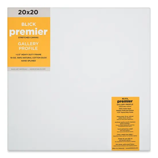 Blick Premier Stretched Cotton Canvas - Gallery Profile, Splined, 20" x 20" {1}