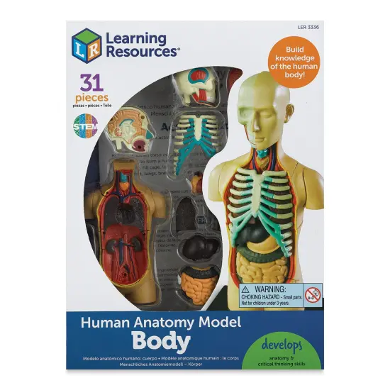 Learning Resources Human Anatomy Model - 4-1/2" {1}