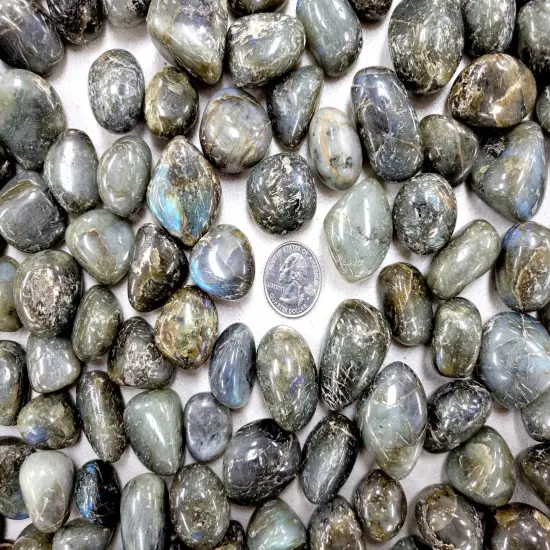Tumbled Labradorite Crystals -3/4 inch to 1.5 inches {4}