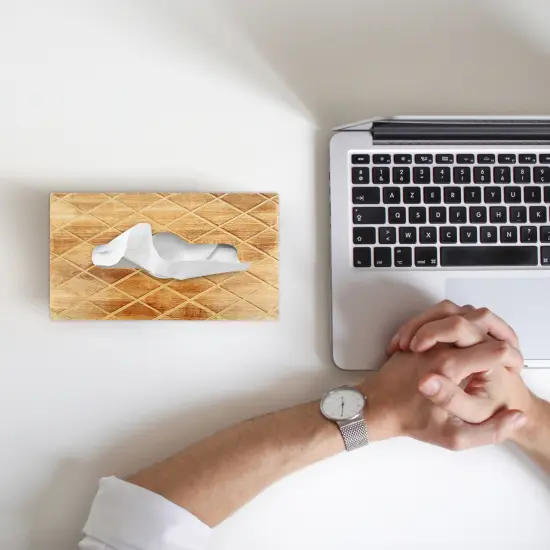 Modern Decorative Paper Facial Tissue Box Holder for Kitchen, Dining Room, and Office {3}