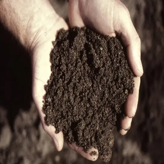 Dirt Fragrance Oil (Our Version of the Brand Name) (8 LB Jug) for Candle Making, Soap Making, Tart Making, Room Sprays, Lotions, Car Fresheners, Slime, Bath Bombs, Warmers&hellip; {2}