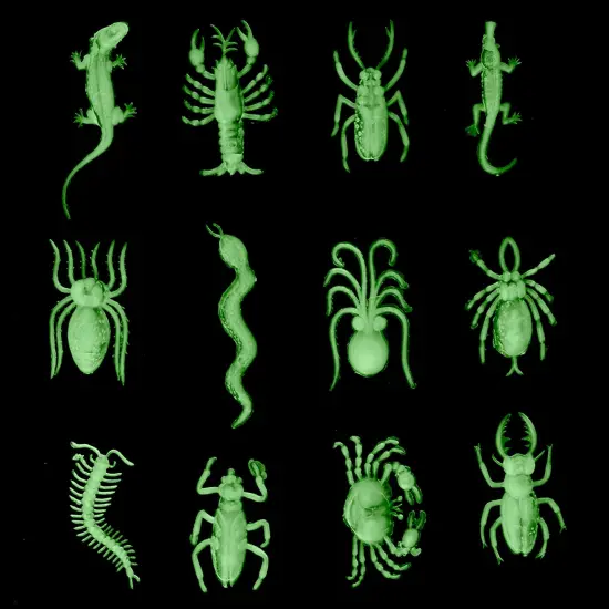 Glow in the Dark Insects - 144 Pieces - Party Favor and Prank Toys - Assorted Reptiles and Bugs Toys Great for Halloween, Birthday Parties, Piatas, Prizes and More - by Skeleteen {4}
