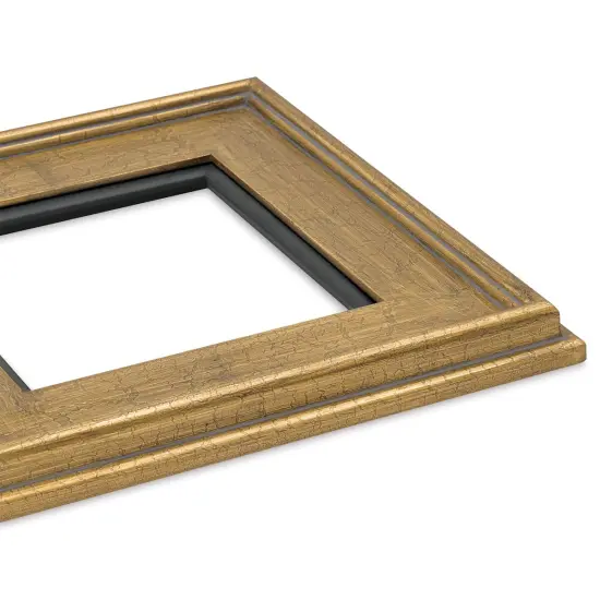 Blick Simplon Frame with Liner - 8" x 8" x 5/16", Gold Crackle/Black {1}