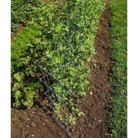 Pea Fence Straw Bale Garden Expandable Galvanized Steel 40-80 inch High Set of 2 {4}