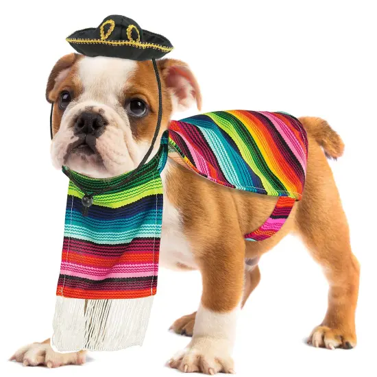 Skeleteen Mexican Serape Dog Costume - Cinco de Mayo Poncho and Sombrero Costumes for Pets {1}
