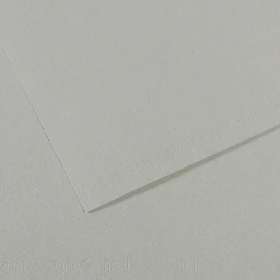 Canson Mi-Teintes Drawing Papers - 8-1/2" x 11", Sky Grey, 25 Sheets {1}