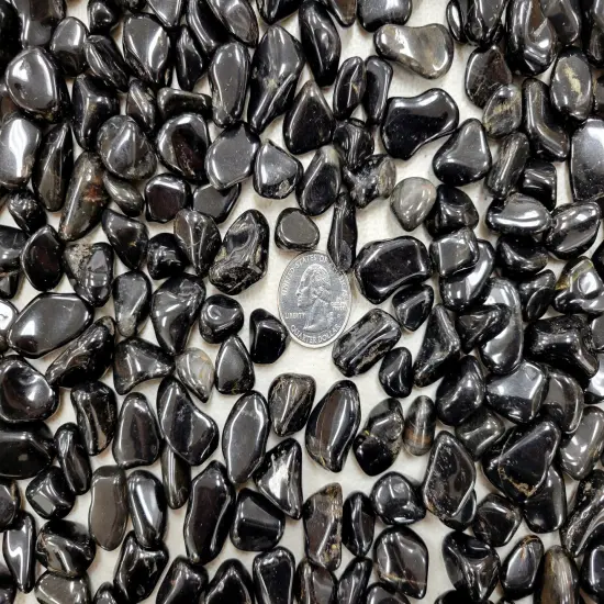 Small Tumbled Black Onyx Crystals - 1/4 inch to 1 inch - Bulk Tumbled Stones {3}