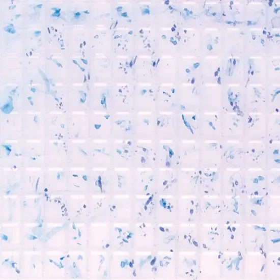 Plastruct Patterned Sheets, Square Tile, 3/16"� {1}