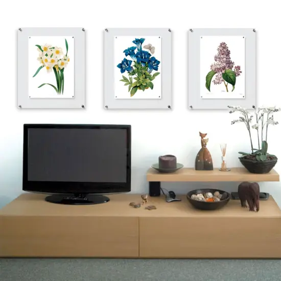 Wexel Art Single Panel Acrylic Display Frame - 21" x 27", Silver Hardware {2}