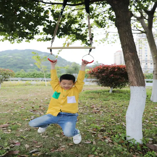 Kids Trapeze Swing Bar with Rings with Hanging Ropes {2}