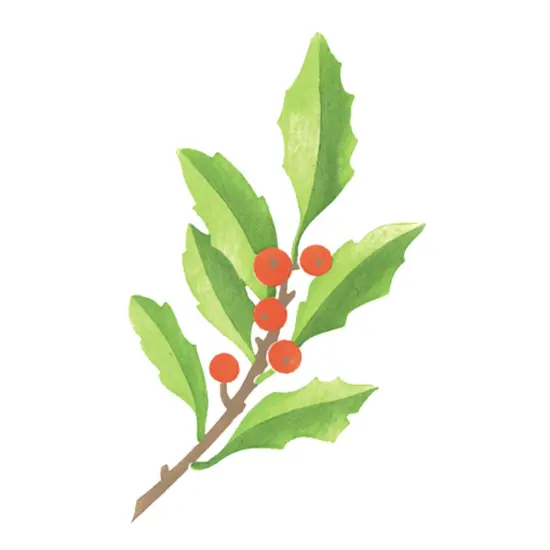 Holly Sprig Wall Stencil | 3173 by Designer Stencils | Floral Stencils | Reusable Art Craft Stencils for Painting on Walls, Canvas, Wood | Reusable Plastic Paint Stencil for Home Makeover | Easy to Use & Clean Art Stencil {1}