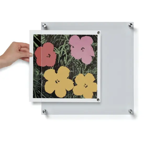 Wexel Art Single Panel Acrylic Display Frame - 14" x 14", Silver Hardware {2}