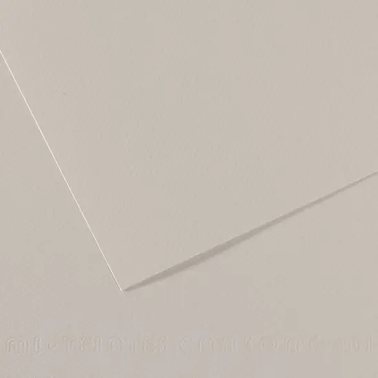 Canson Mi-Teintes Drawing Papers - 8-1/2" x 11", Pearl Gray, 25 Sheets {1}