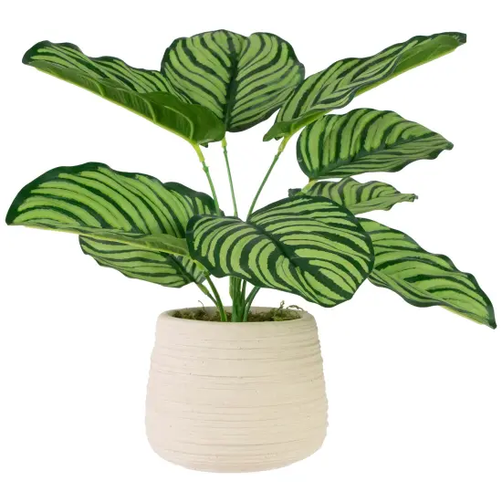 Northlight 13" Artificial Prayer Plant in Beige Ceramic Pot Green {1}