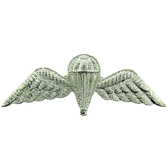 	EagleEmblems P40046 Wing-British,Jump (2'') {1}